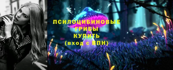 соль курить ск Бородино