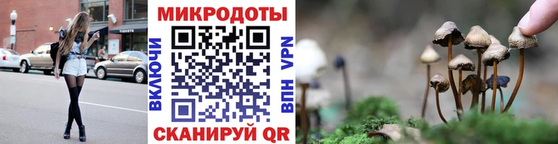 закладка  Волоколамск  Галлюциногенные грибы прущие грибы 